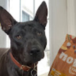 Meet your Posher, Jung